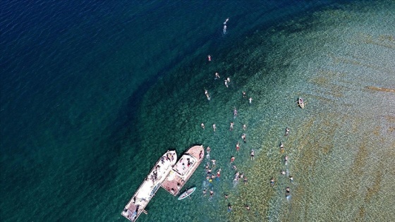 Van Gölü&#039;nde düzenlenen yüzme festivali ilgi gördü