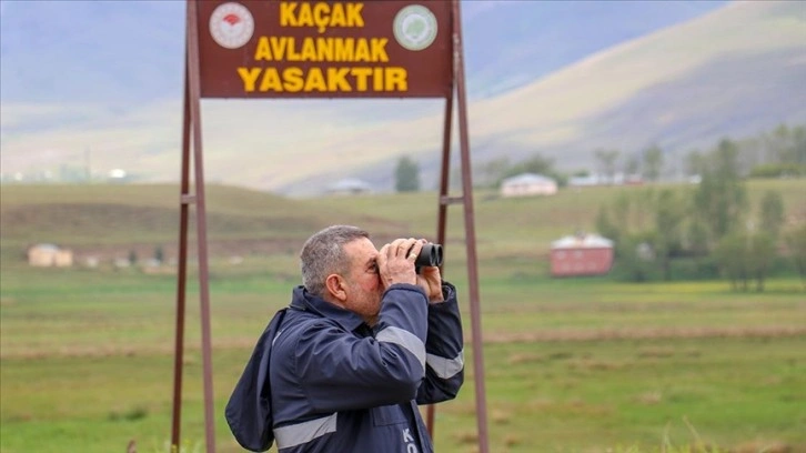 Van Gölü'nün "incileri"ni kaçak avlayanlara 390 bin lira ceza verildi