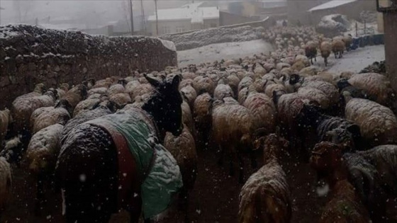 Van’ın yüksek kesimlerine nisanda kar yağdı