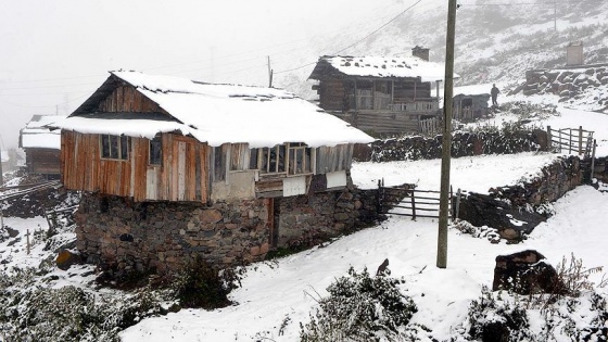 Van ve Ardahan'da kar yağışı hayatı olumsuz etkiledi