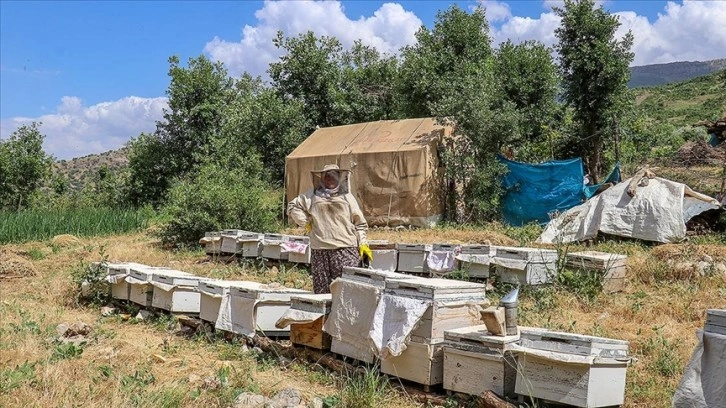 Vanlı kadın çiftçi devlet desteğiyle arıcılığı meslek edindi