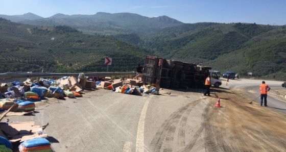 Virajı alamayan kamyon yan yattı, 2 kardeş öldü