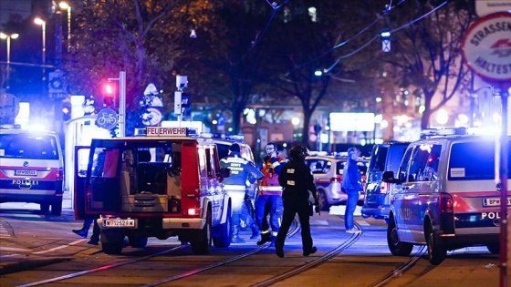 Viyana’daki terör saldırısının faili Türkiye'de tutuklanarak Avusturya'ya iade edilmiş