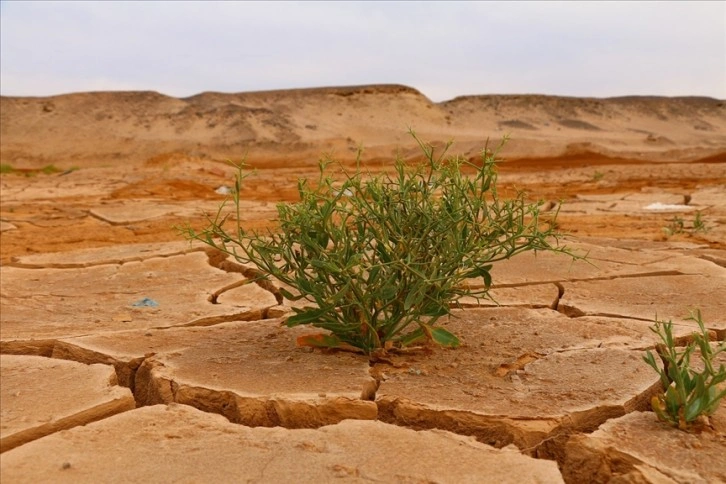 WMO'dan "iklim değişikliğiyle mücadelede sadece bilim ve teknoloji yeterli değil" uya