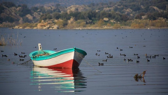 Yağışlarla temizlenen Bafa Gölü nefes almaya başladı