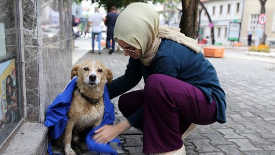 Yağmurda ıslanan köpeği kıyafetiyle kuruladı