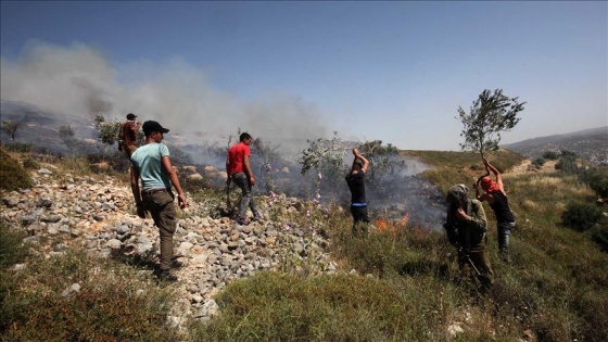 Yahudi yerleşimciler Filistinlilerin arazisini ateşe verdi