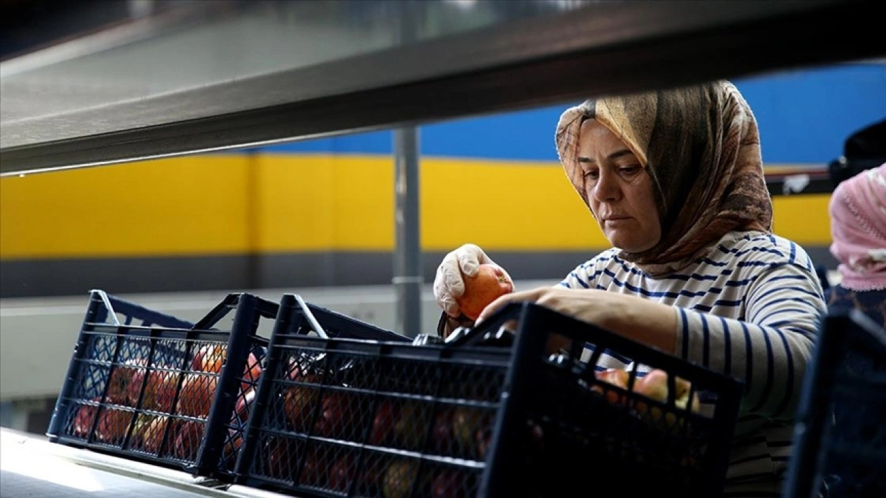 Yahyalı elması yöre kadınının elinden dünya pazarına açılıyor