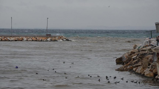 Yalova'da deniz kahverengiye boyandı