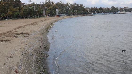 Yalova'da deniz suyu 25 metre çekildi