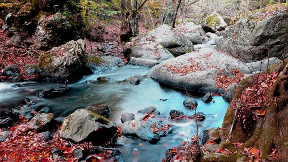 Yalova'da sonbahar güzelliği