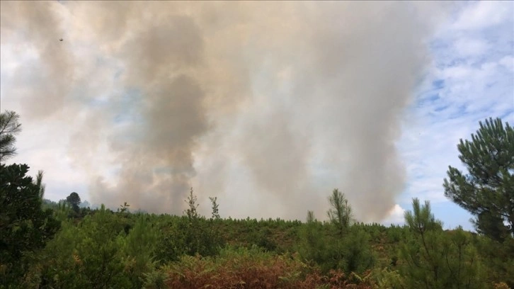 Yalova'da ormanlık alanda çıkan yangına müdahale ediliyor