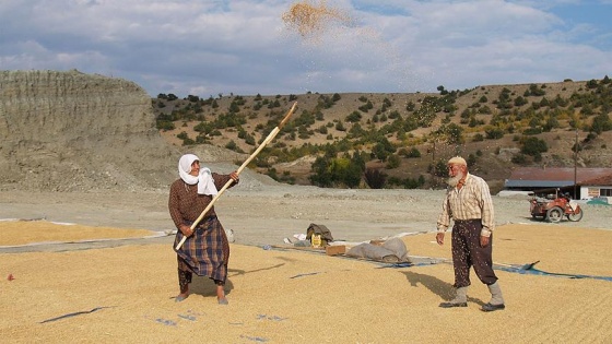 'Yaşama bağlılık' alzaymırı geciktiriyor'