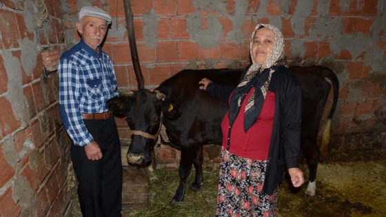 Yaşlı çiftin yüzü sosyal medya aracılığıyla güldü