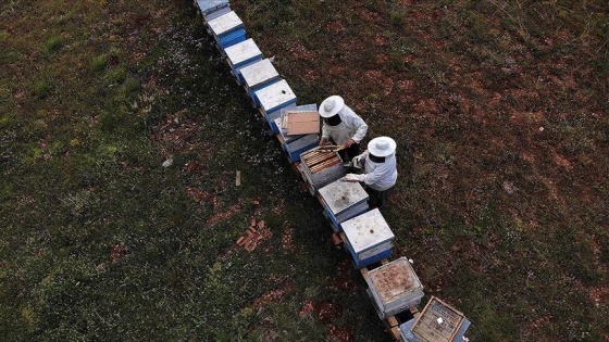 Yayladaki çiftin 35 yıllık arıcılık hikayesi