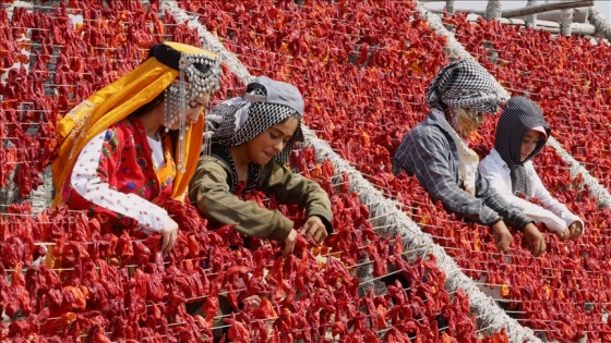 Yaz lezzetleri, kavurucu sıcakla kışa taşınıyor