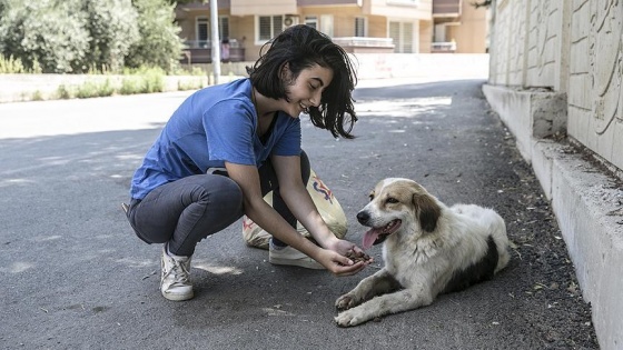 Yaz tatillerinde sokak hayvanlarını beslediler