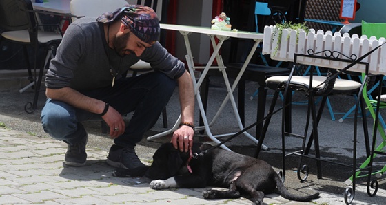 Yemek sipariş veren müşterilerine beraberinde kuru mama gönderiyor