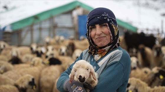 Yeni doğan kuzular, beyaza bürünen dağ köylerindeki besicilerin yüzünü güldürüyor