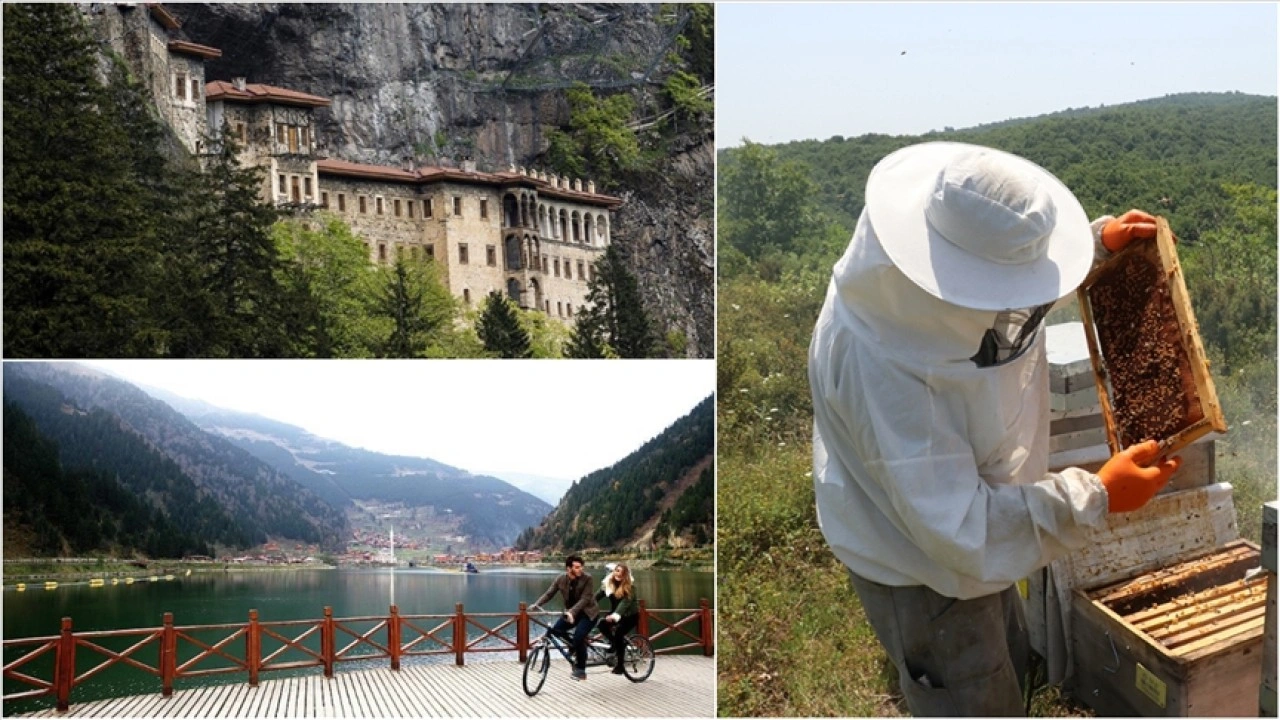 Yeni DOKAP Eylem Planı ile Doğu Karadeniz'de tarım ve turizmde atılım hedefleniyor