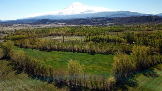 Yeni eylem planından tarım ve ormancılığa destek çıktı