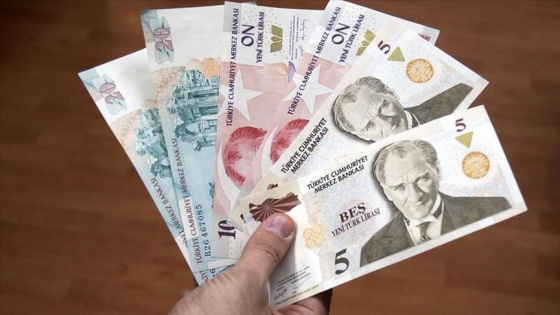 Yeni Türk Lirası banknotların zaman aşımı yıl sonunda dolacak