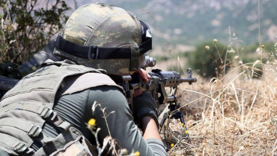 Yeşil kategoride aranan 2 PKK'lı terörist etkisiz hale getirildi
