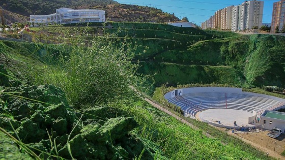 'Yeşile boyanmış alanları ağaçlandırmaya talibiz'