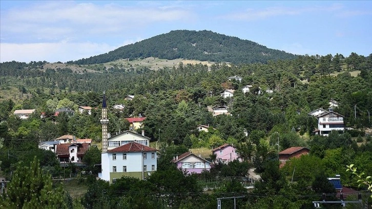 Yeşilin tüm tonlarını barındıran Çamiçi Yaylası ziyaretçilerini ağırlıyor