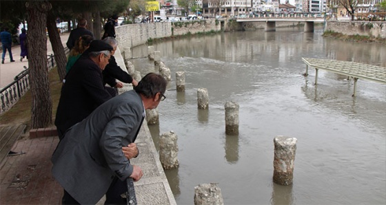 Yeşilırmak’ta balık ölümleri