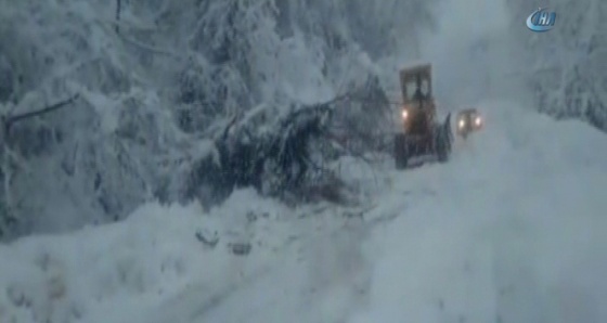 Yola devrilen ağaçlar trafiği kapattı