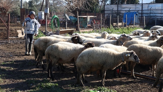 Yöresel konuşması sosyal medyada ilgi gören Havranlı Şevki, ailesine yardım etmekten memnun