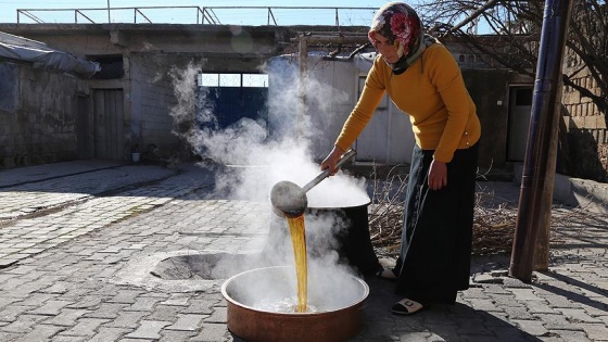 Yöresel lezzet 'pestil'i yurt dışına gönderiyor