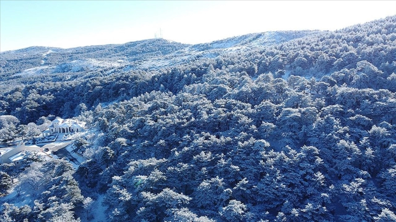 Yozgat Çamlığı Milli Parkı'nda karla kaplanan ağaçlar dronla görüntülendi