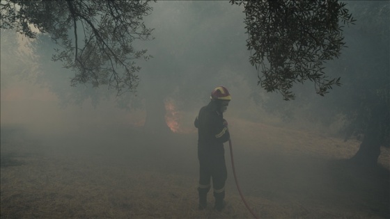 Yunanistan'da yüz binlerce dönümlük alanı küle çeviren yangın sürüyor