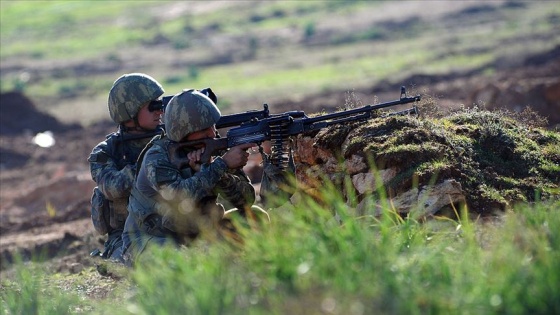 Zeytin Dalı bölgesinde 10 PKK/YPG'li terörist gözaltına alındı