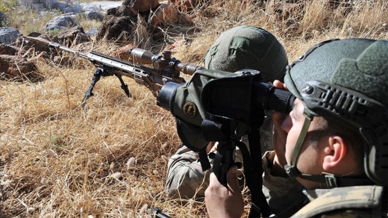 Zeytin Dalı bölgesinde 2 PKK/YPG'li terörist yakalandı