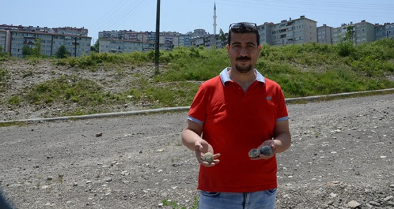 Zonguldak’da dinozorlar çağından kalma deniz canlılarına ait fosiller bulundu