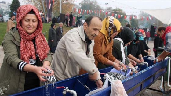 Zonguldak'ta düzenlenen hamsi festivalinde 10 ton balık dağıtıldı