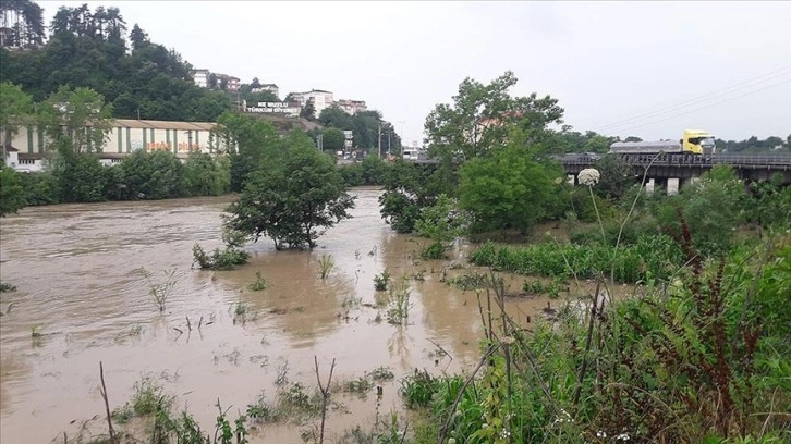 Zonguldak'ta sağanak nedeniyle ırmak taştı, tarım arazileri su altında kaldı