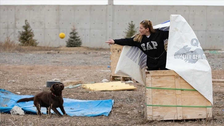 Zorlu eğitimlerden geçen köpekler arama kurtarma ekiplerinin pusulası oluyor