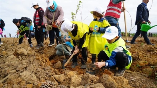 '1 Milyon Fidan Kampanyası' kapsamında 100 bin fidan Şile'de toprakla buluşturuldu