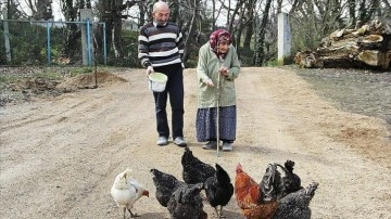 108 yaşındaki Hamide nine her gün yürüyüş yapıp tavukları besliyor