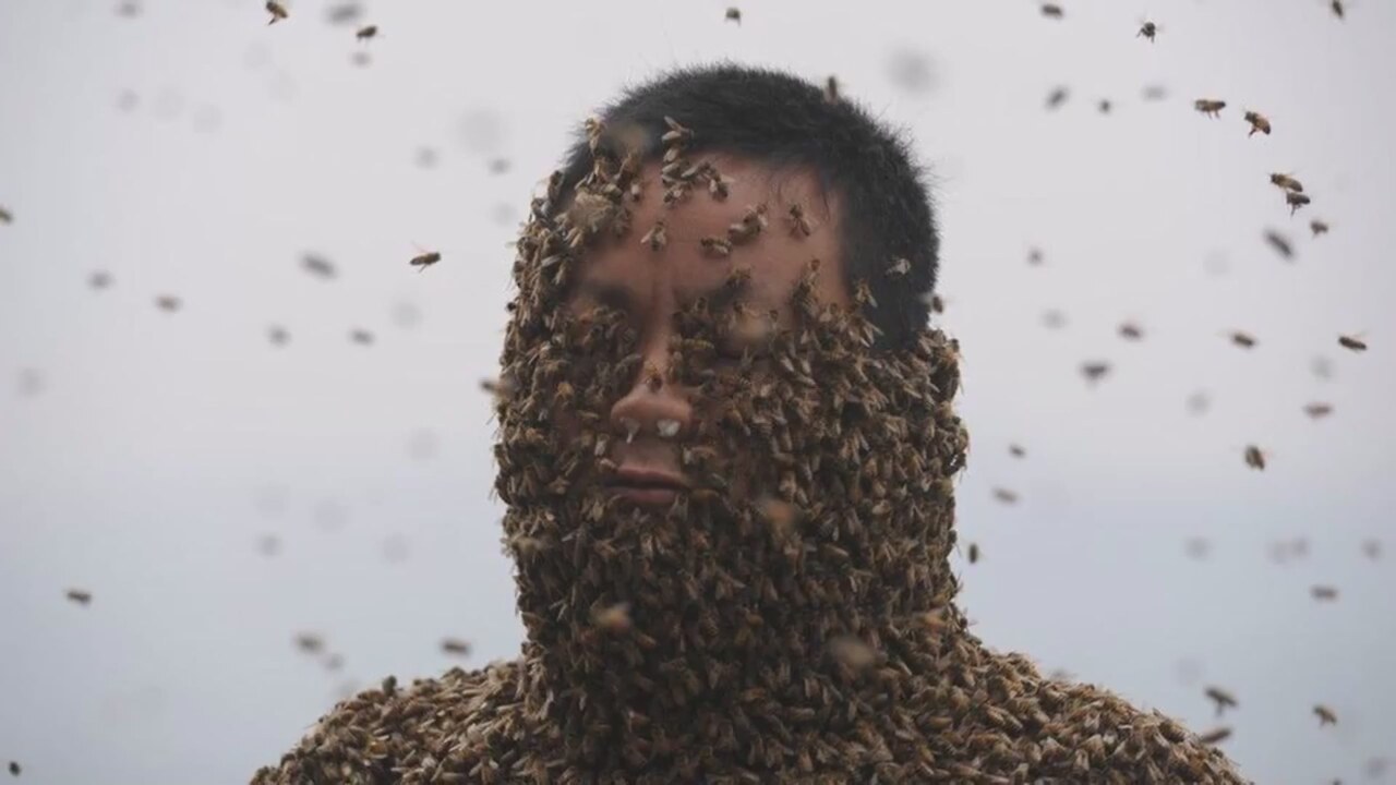 Korkusuz arıcı vucüdunu arılara sardırdı