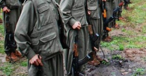 2 PKK’lı ölü ele geçirildi