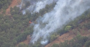 Hakkari’de 5 ayrı noktada orman yangını