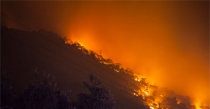 Kazdağları’nda orman yangını! 3 hektarlık alan küle döndü!