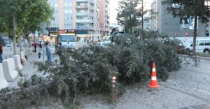 Kırmızı ışıkta beklemekle hayatları kurtuldu