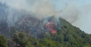 Çanakkale’de ikinci orman yangını