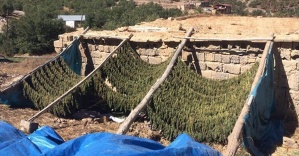 Diyarbakır'da 5 ton esrar ele geçirildi